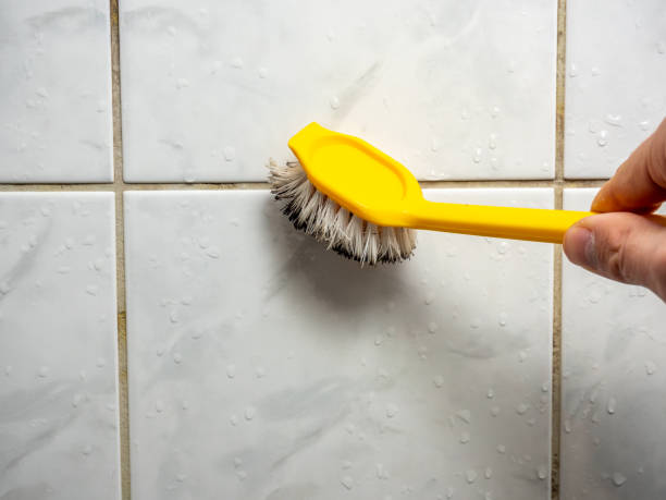 Reliable Des Moines, IA Mold Removal Solutions