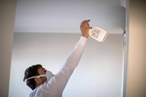 Attic Mold Removal in Des Moines, IA