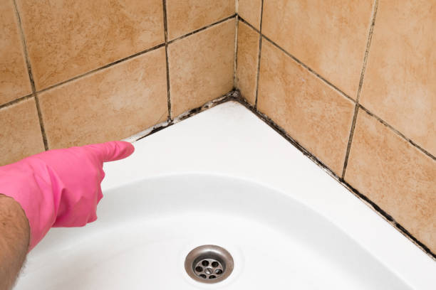 Best Crawl Space Mold Removal  in Des Moines, IA